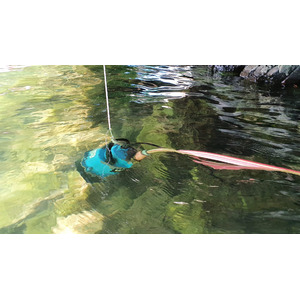 Dweilpomp 3960 l/h (simer)