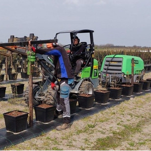 Palenrammer pneumatisch