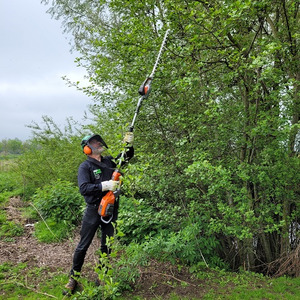 Taille-haies sur manche accu