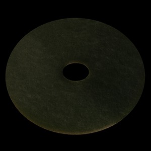 Dikke Pad 43 cm - Wit